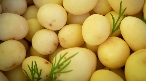 Ярмарки
