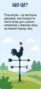 Роза вітрів