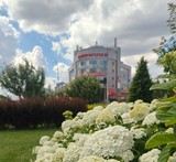 На столичній Дарницькій площі розцвіли пишні гортензії
