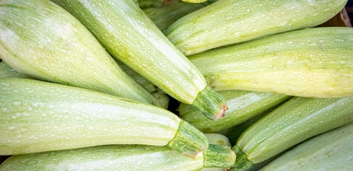 Ярмарки