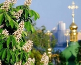 Петиція про лікування каштанів Києва