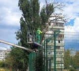 Обрізка дерев на Березняках