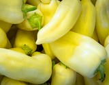Ярмарки