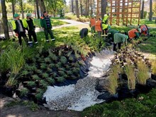 У сквері на ДВРЗ облаштували дощові садки
