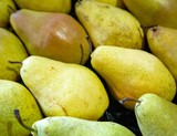Ярмарки